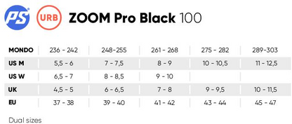 Zoom Pro 100 black, without Colorbox